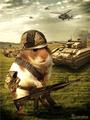 Аватар для BattleHamster